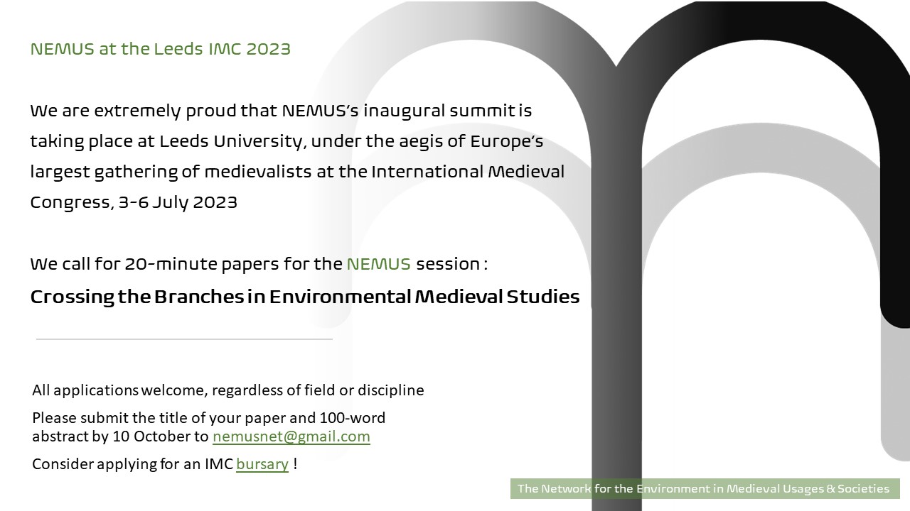 Call for papers : NEMUS session at the Leeds IMC 2023